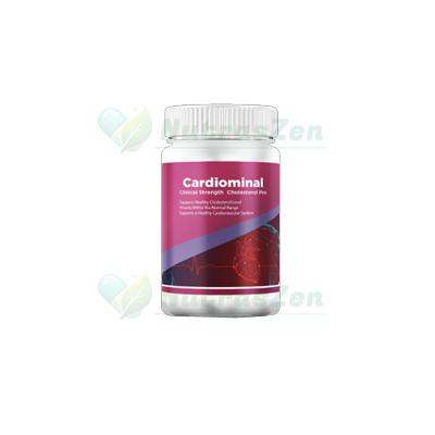 Preparat regulujący poziom cholesterolu